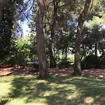 Park House 招待所 蒙德罗